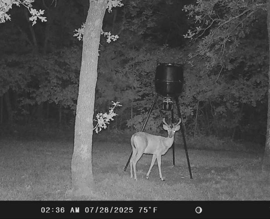 C C Walker Surv Abs #1370 - Residential