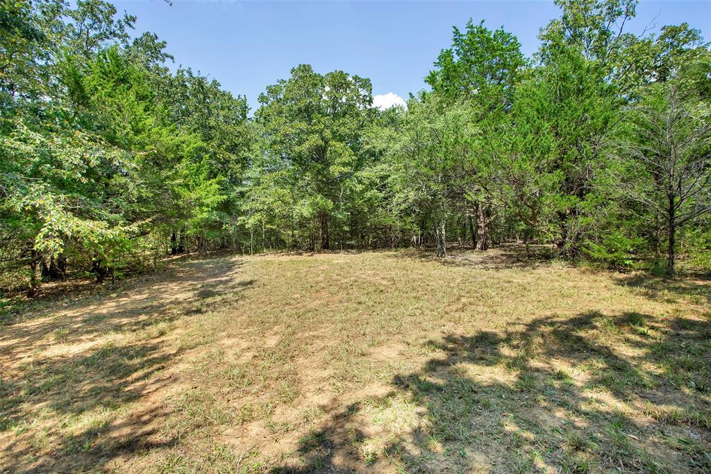 C C Walker Surv Abs #1370 - Residential