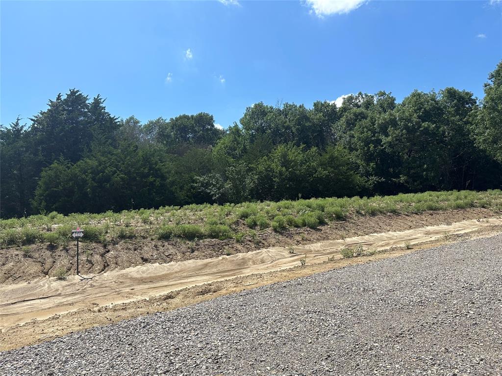 Lot 9 County Road 1110