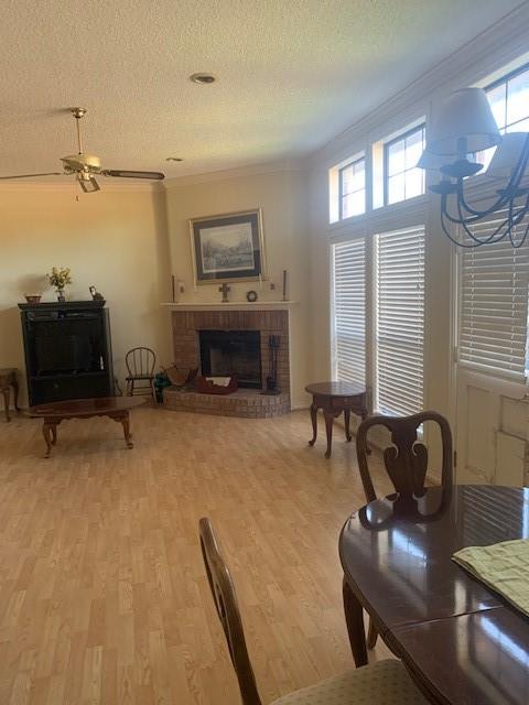 Cayman Estates - Residential