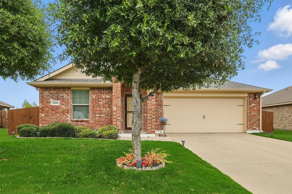 3216 Elam Drive