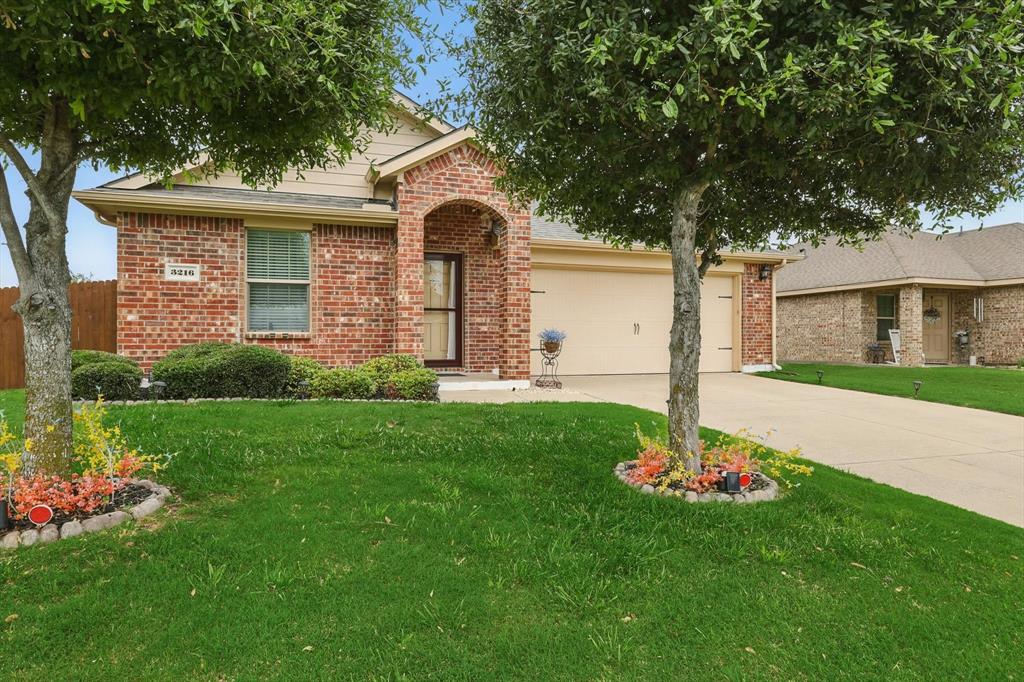 3216 Elam Drive