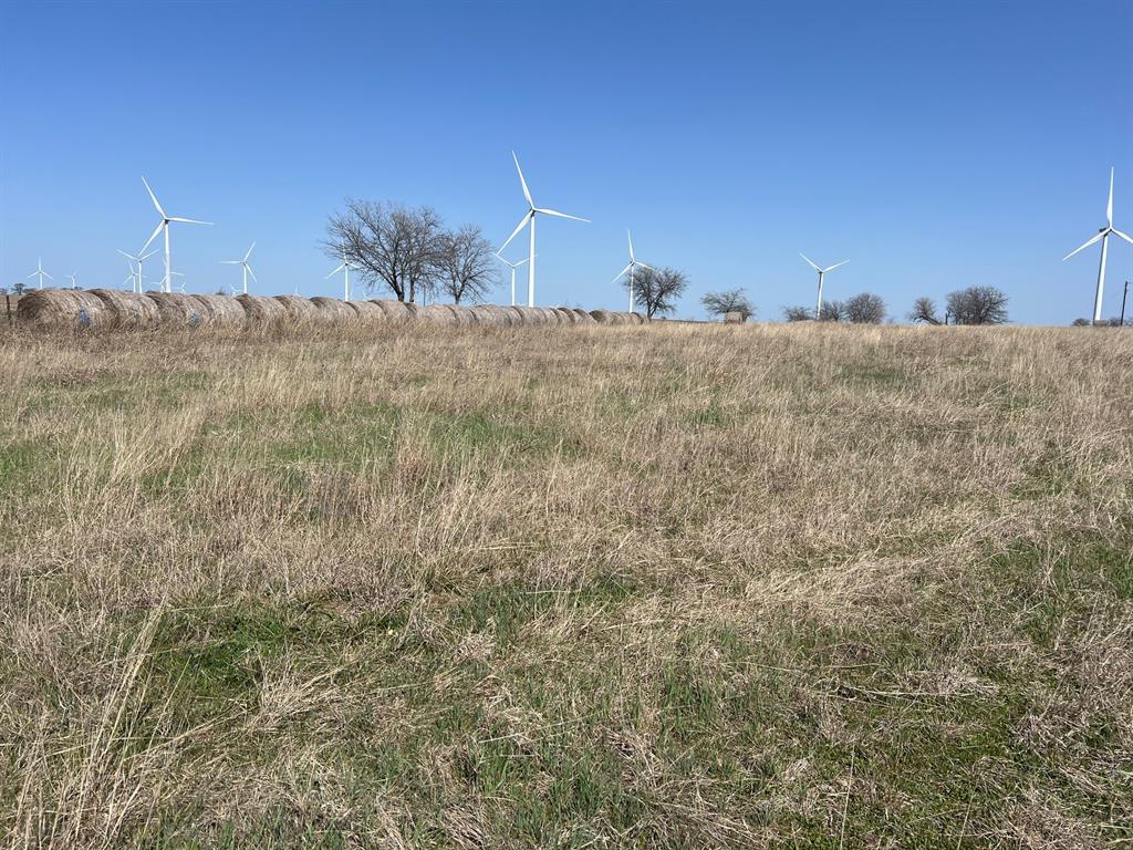 TBD Coyote Way
