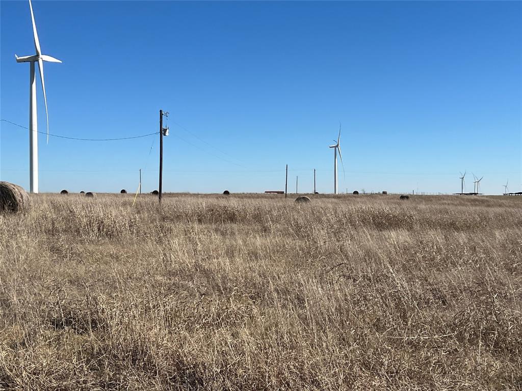TBD Coyote Way