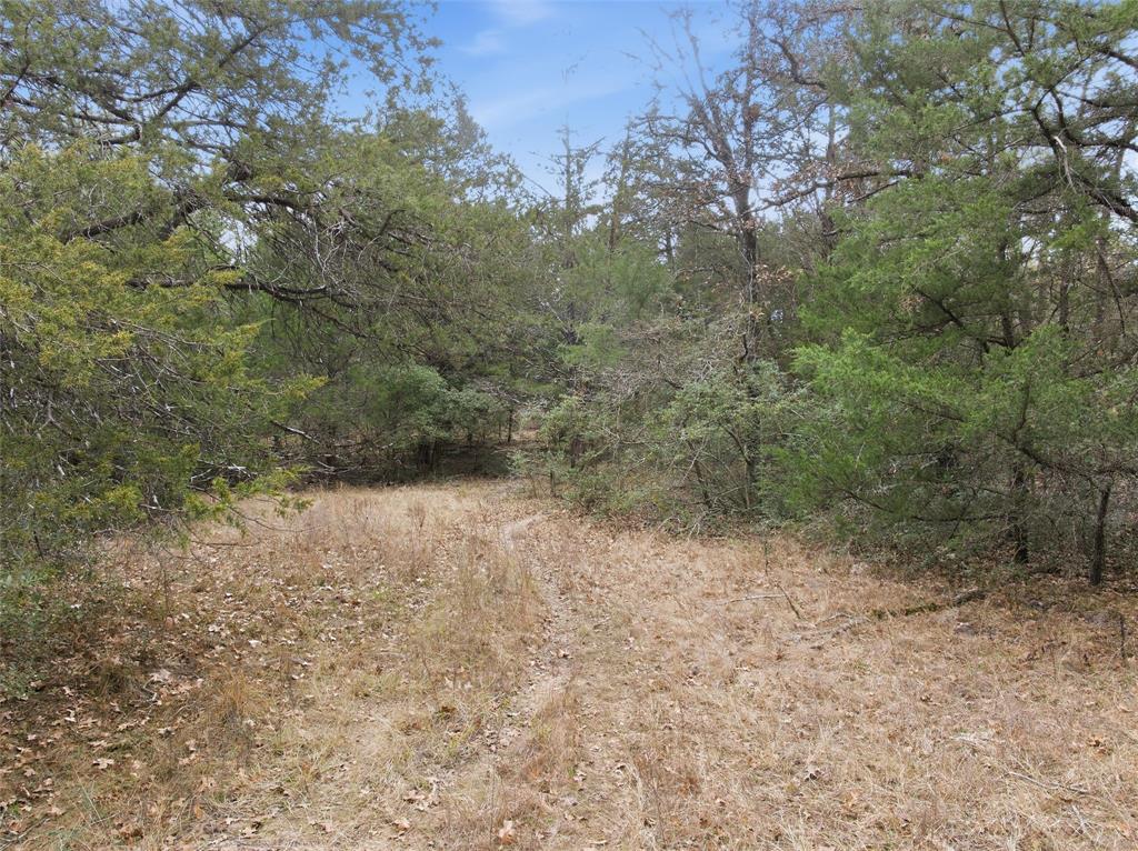 A004W J L Chavert-West, ACRES 30.19, M R PALACIOS - Land