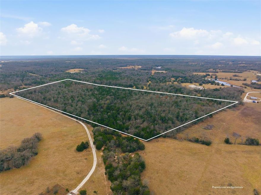 Set deep in the quiet countryside outside Groesbeck, this 30-acre property is a rare opportunity to own true Texas seclusion. Surrounded by wide open land and untouched natural beauty, this tract delivers the kind of privacy that’s becoming harder to find. The landscape provides ideal habitat for wildlife, with deer frequently moving through the property, making it a natural fit for hunting, recreation, or simply enjoying the outdoors the way it was meant to be experienced.With plenty of room to roam, this land invites a wide range of possibilities. Create a private hunting retreat, a weekend escape from the city, or a future homesite where peace and quiet are part of everyday life. Whether you envision trails, feeders, blinds, or a secluded cabin tucked into the trees, the space allows you to shape the land around your vision. Far from the noise and congestion of town, yet still within reach of Groesbeck, this property is ideal for those who value privacy, freedom, and the chance to own a meaningful piece of land. Wide skies, natural cover, and abundant wildlife make this a place where time slows down and the possibilities feel endless.