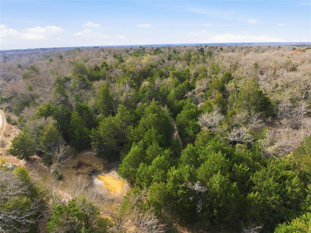 A004W J L Chavert-West, ACRES 30.19, M R PALACIOS - Land