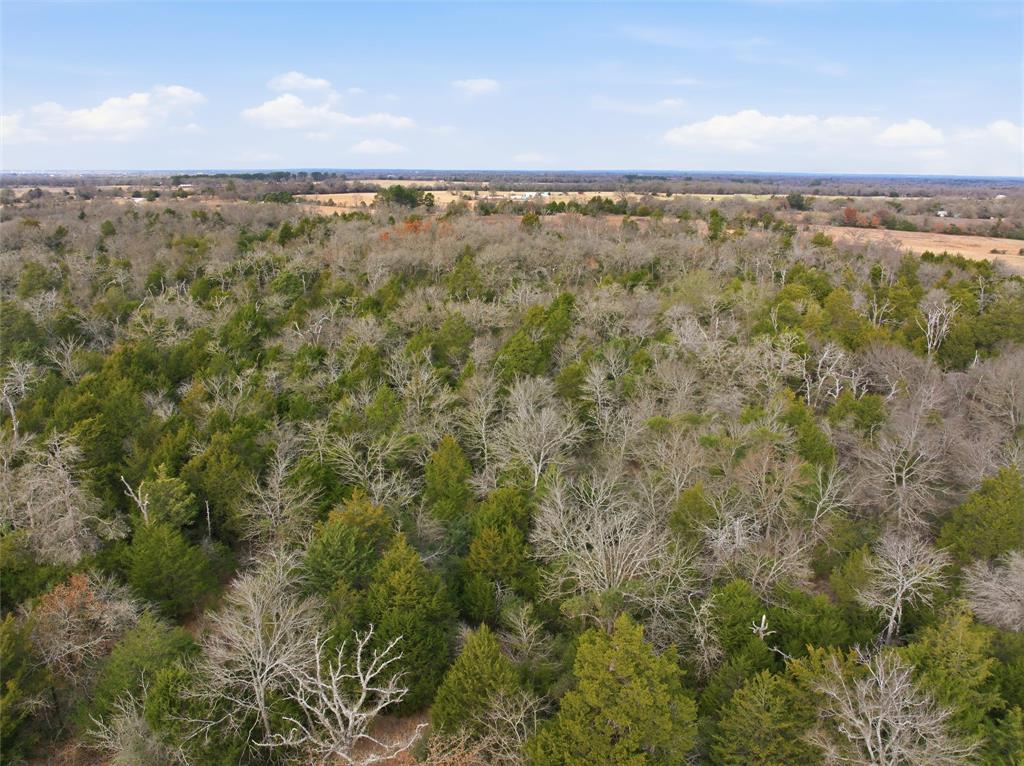 A004W J L Chavert-West, ACRES 30.19, M R PALACIOS - Land