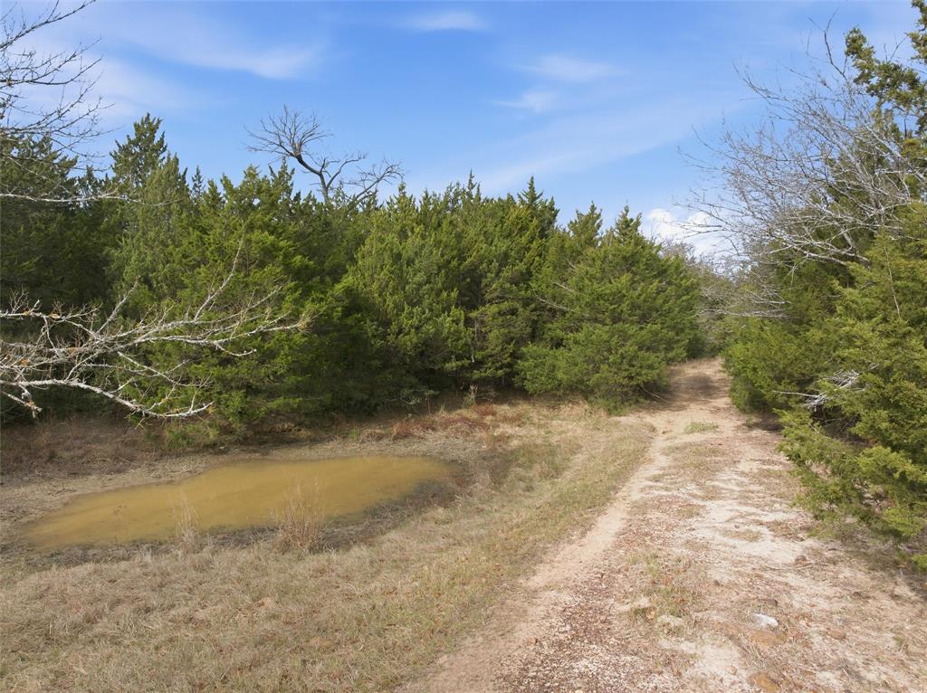 A004W J L Chavert-West, ACRES 30.19, M R PALACIOS - Land