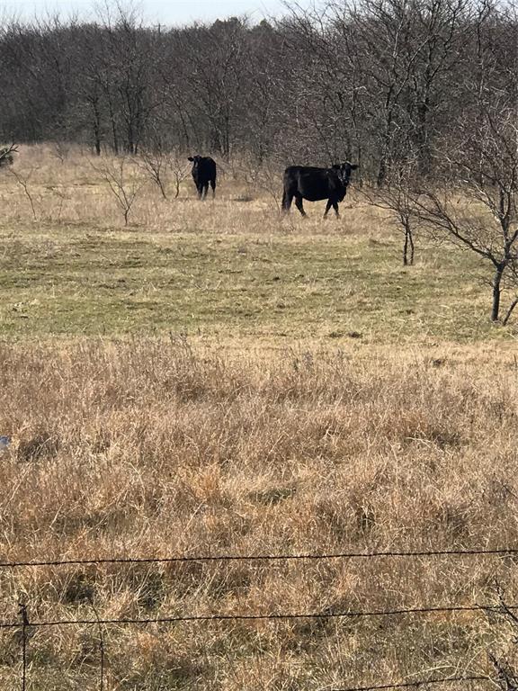 TBD 3.177 Acres Winn Road