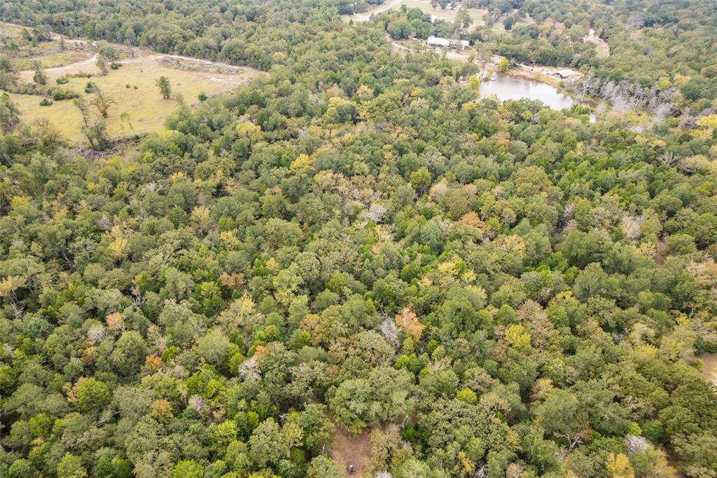 MOODY LAND CO III - Land