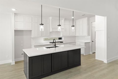 13709 Riola Drive Little Elm TX 75068