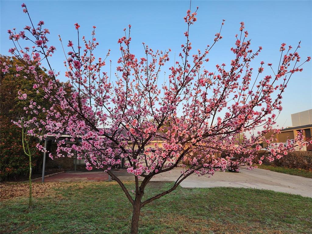 River Bend Add Ph II - Residential Lease