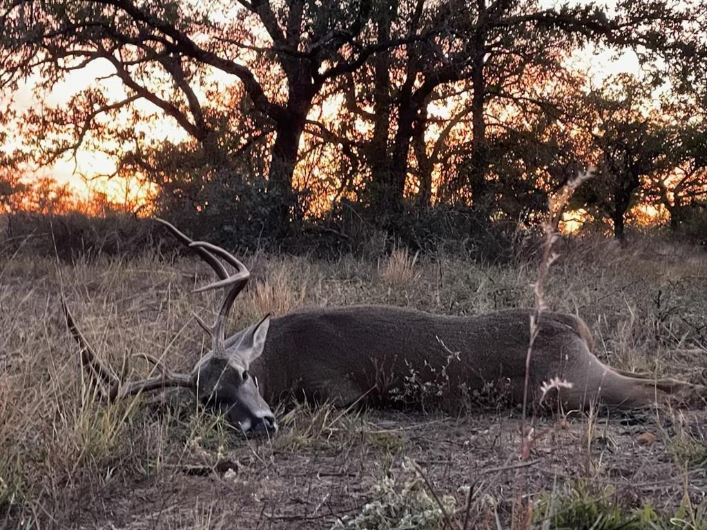 11814 CR 266