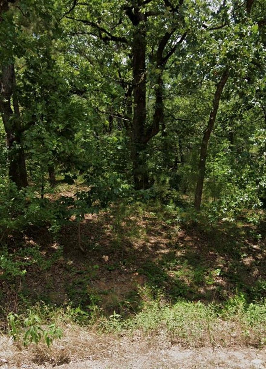 Almost a half acre of trees within walking distance of the Cedar Creek Lake.