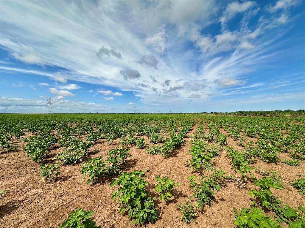 TBD County Road 409