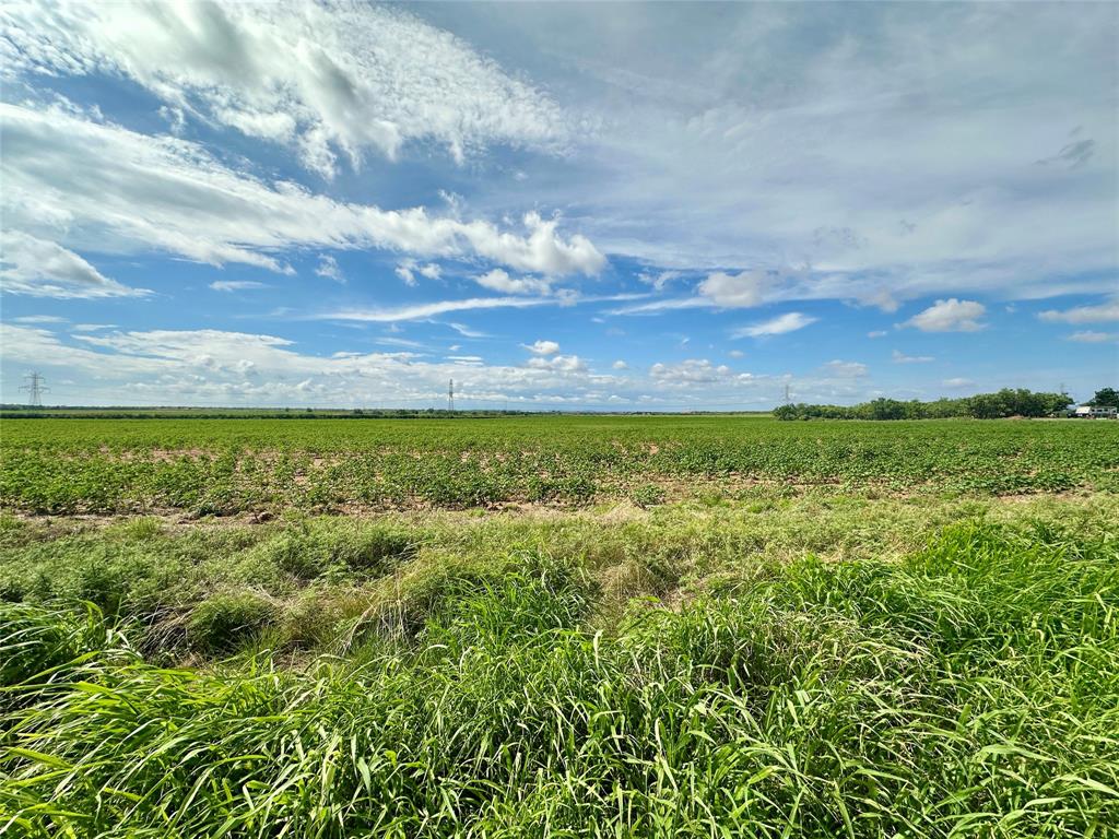 TBD County Road 409