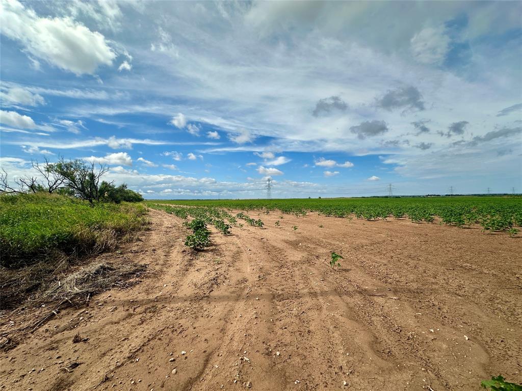 TBD County Road 409
