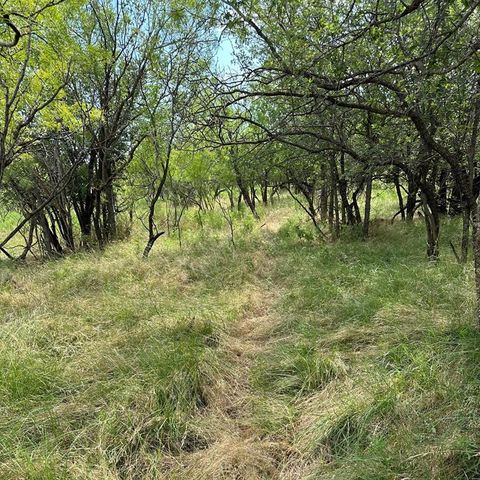 Tract 11 AC CR 150 Abilene TX 79601