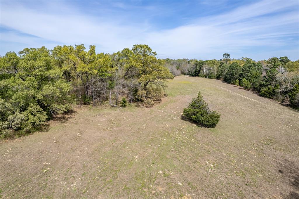 ABS 0036 Blackburn G - Land