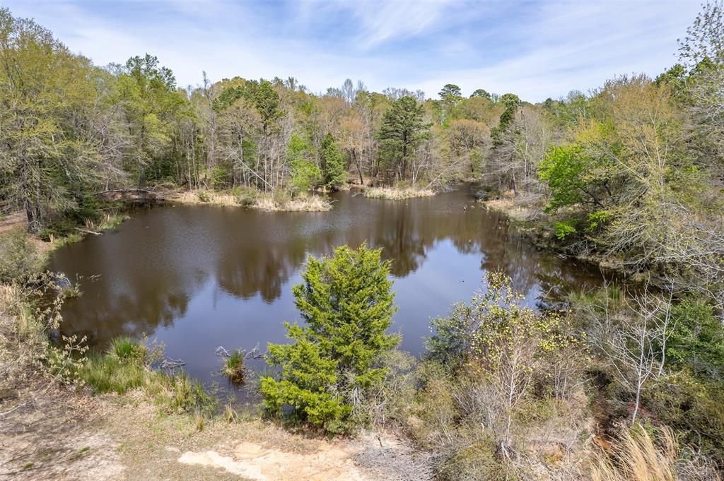 ABS 0036 Blackburn G - Land