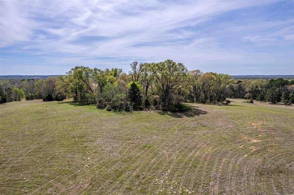 ABS 0036 Blackburn G - Land