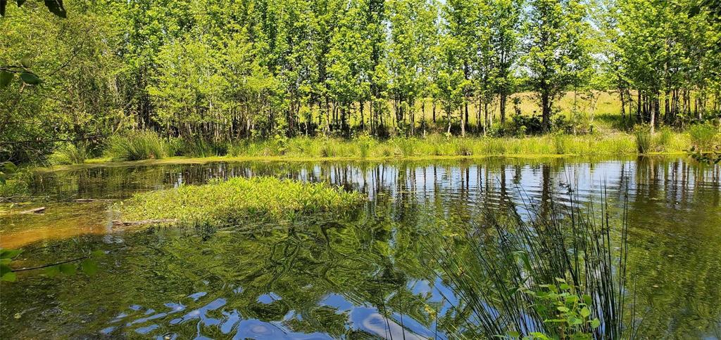 ABS 0036 Blackburn G - Land