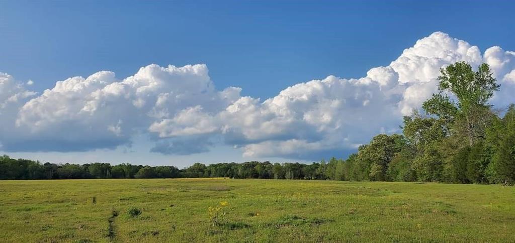 ABS 0036 Blackburn G - Land