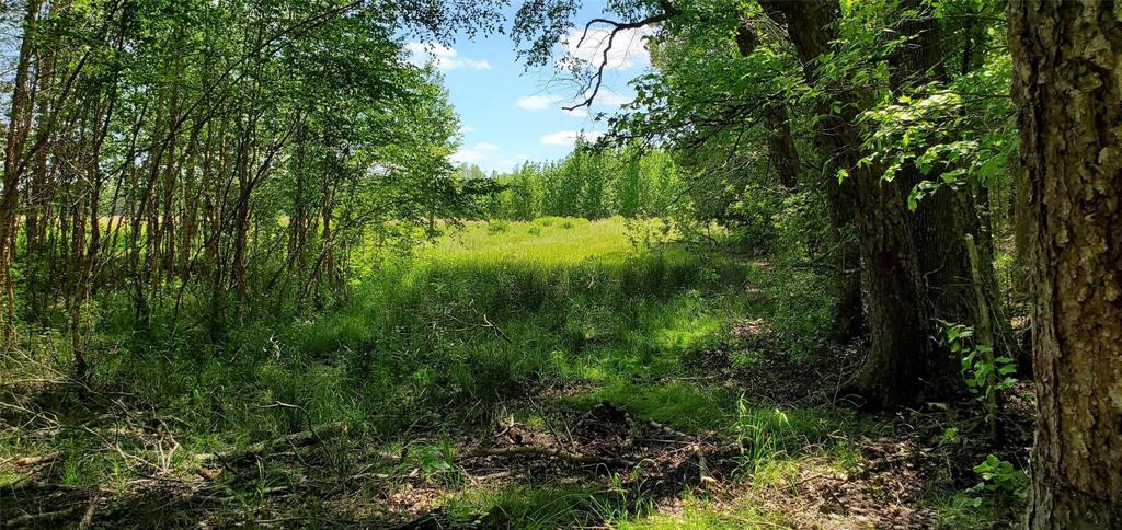 ABS 0036 Blackburn G - Land