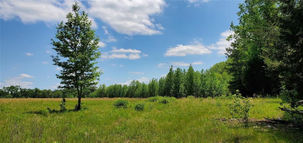 ABS 0036 Blackburn G - Land