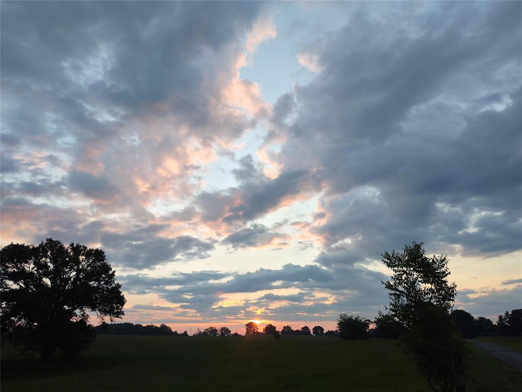 ABS 0036 Blackburn G - Land