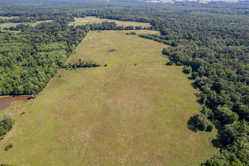 ABS 0036 Blackburn G - Land