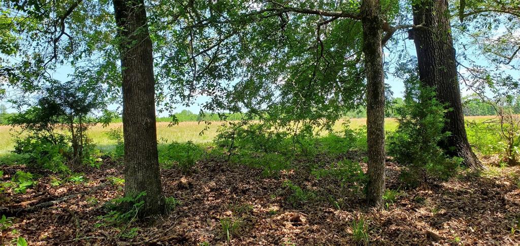 ABS 0036 Blackburn G - Land