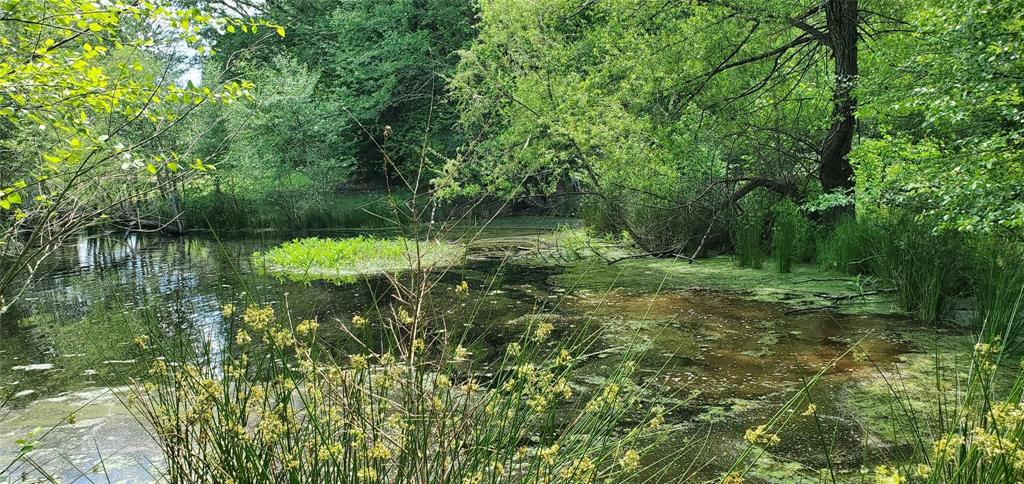 ABS 0036 Blackburn G - Land