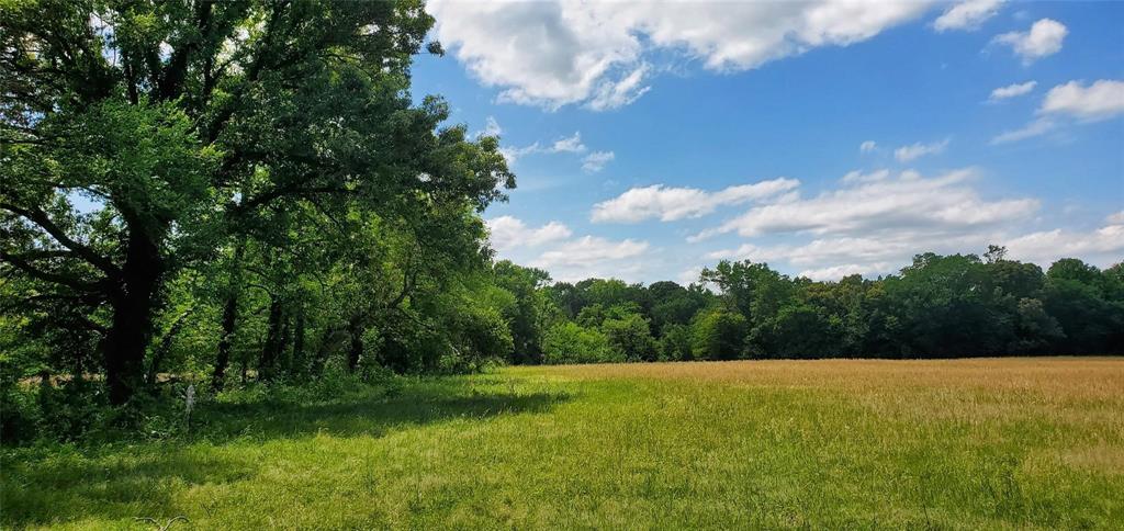 ABS 0036 Blackburn G - Land