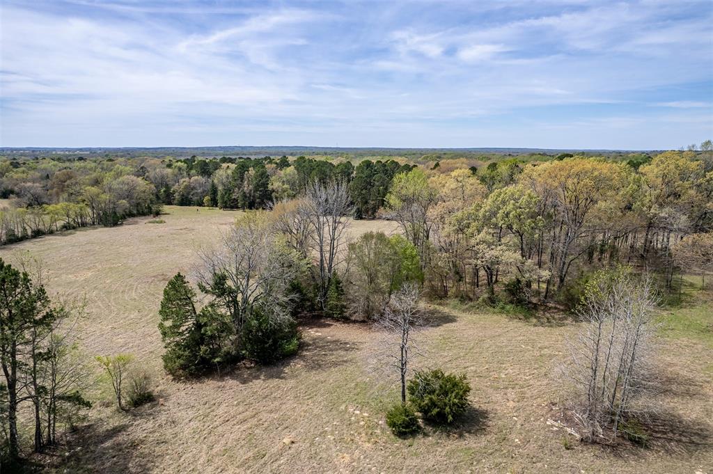 ABS 0036 Blackburn G - Land