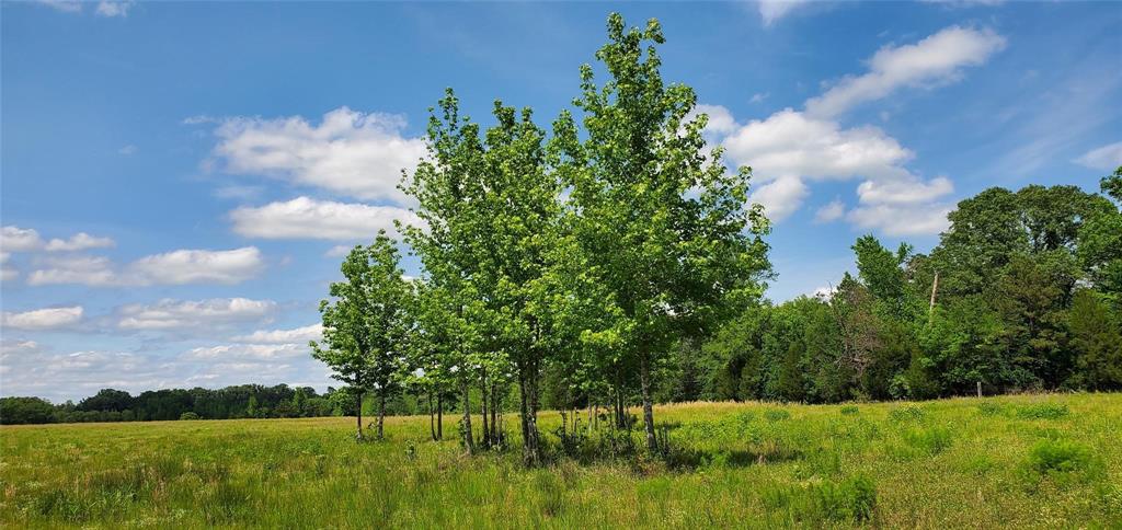 ABS 0036 Blackburn G - Land