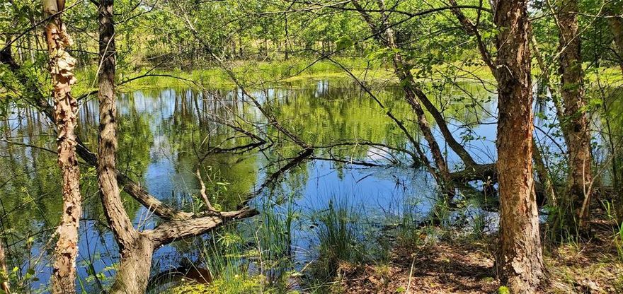 Circle B Ranch - This exceptional 130-acre property offers a rare combination of scenic beauty with productive and recreational opportunities.  Rolling terrain and dramatic elevation changes create breathtaking views across the property, providing several ideal building sites nestled in the trees with 20+ mile views. A picturesque small lake enhances the landscape and attracts abundant wildlife, while a natural watershed offers excellent potential for the development of a future, larger lake. The land has a proven agricultural history, having produced award-winning hay and watermelon crops. Outdoorsmen will appreciate the excellent hunting, with diverse habitat supporting deer, hogs and other native wildlife. Whether you envision a private getaway, a working ranch, or an investment with long-term potential, this property delivers outstanding versatility, beauty and opportunity in one remarkable offering. The views must be seen to appreciate so reach out to the listing agent for a tour of this property that has not been assembled for sale in over 80 years. 

The home on the property and approximately 6 acres are currently excluded from the sale.