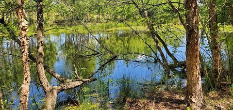 400 County Road 2775 Mineola TX 75773