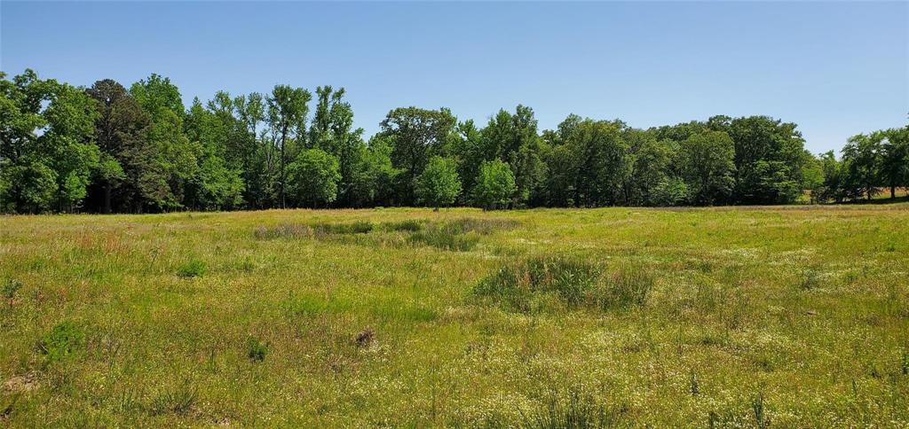 ABS 0036 Blackburn G - Land