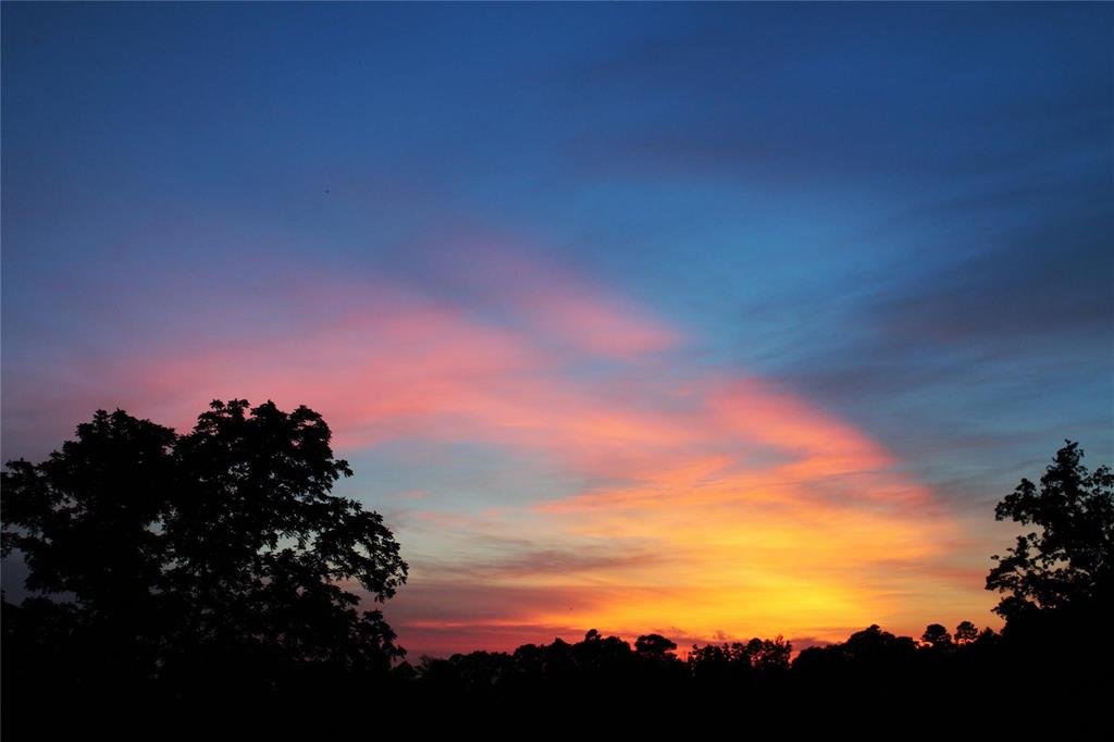 ABS 0036 Blackburn G - Land