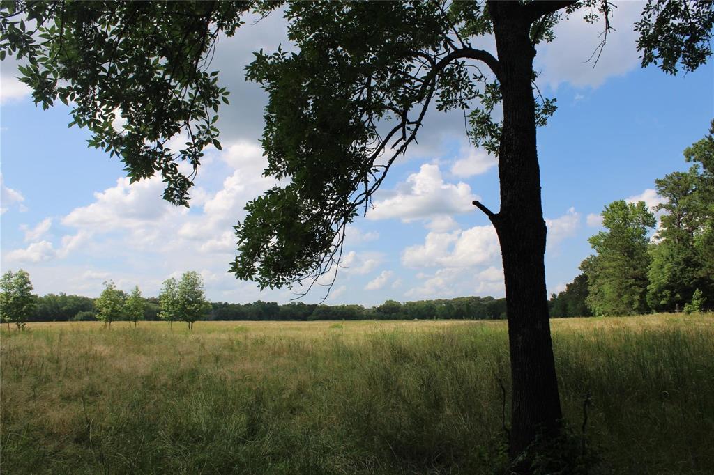 ABS 0036 Blackburn G - Land