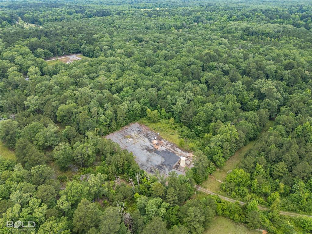 Elm Grove, Louisiana 71051, United States, ,Land,Active,129539