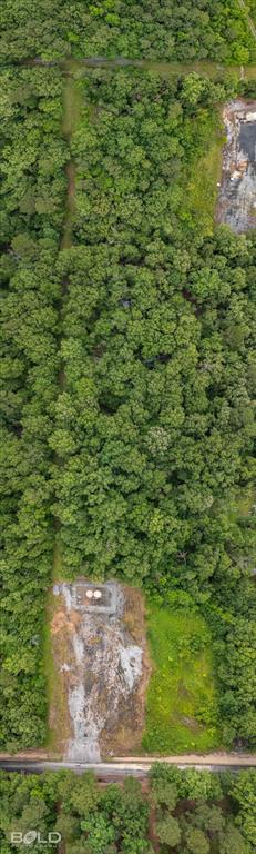 Elm Grove, Louisiana 71051, United States, ,Land,Active,129539