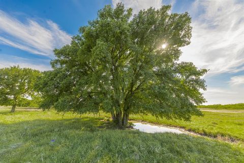 Photo of TBD C.R. 132, Coleman, TX 76834 (MLS # 21241900)