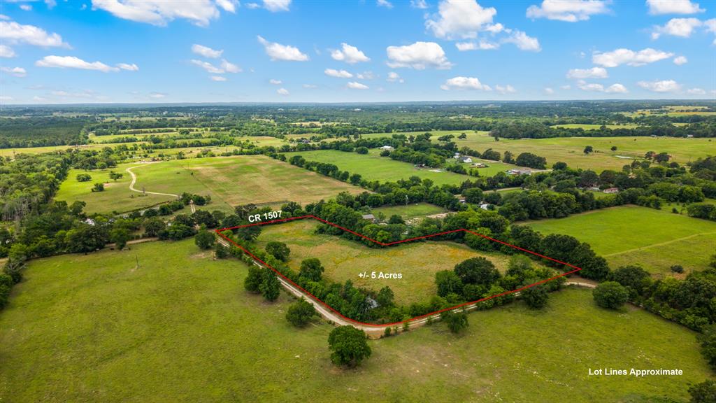 TBD Vz County Road 1507 - Photo 3
