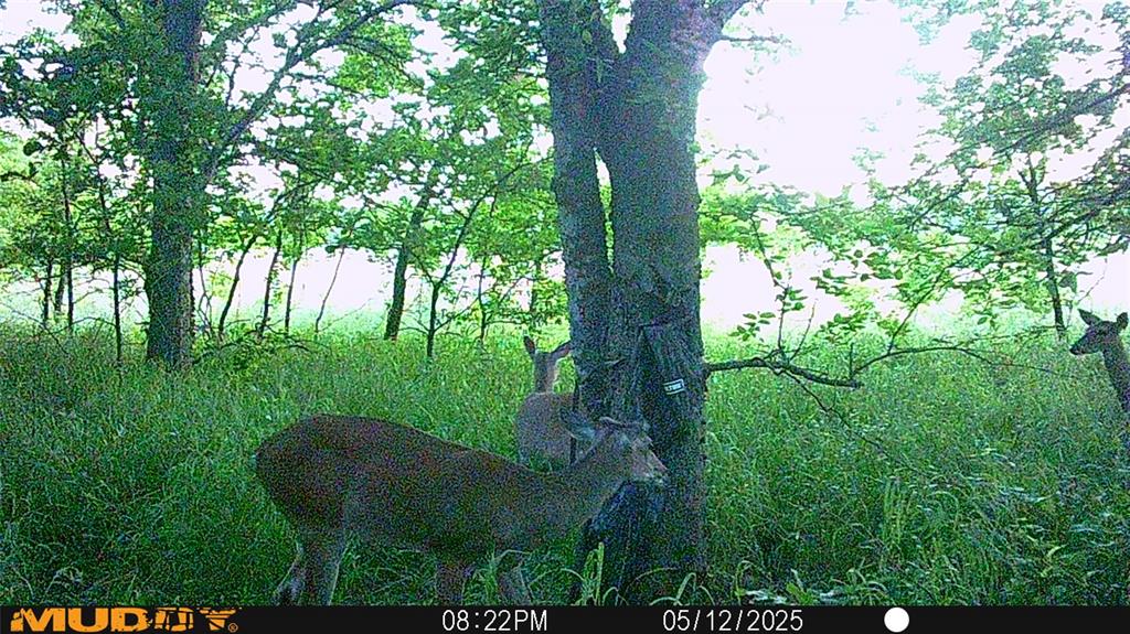 Mill Creek Landing - Land