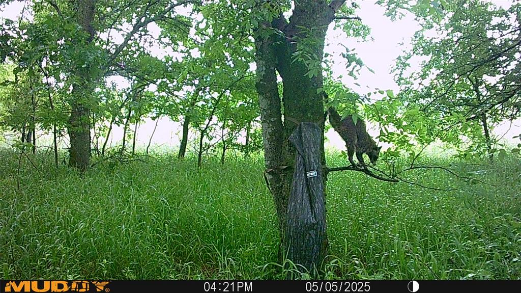 Mill Creek Landing - Land