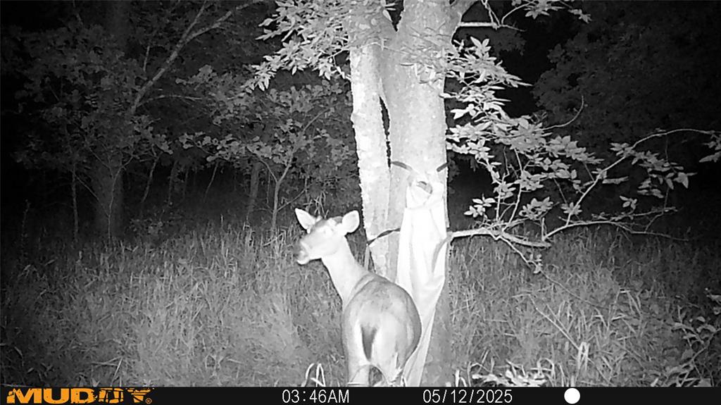 Mill Creek Landing - Land