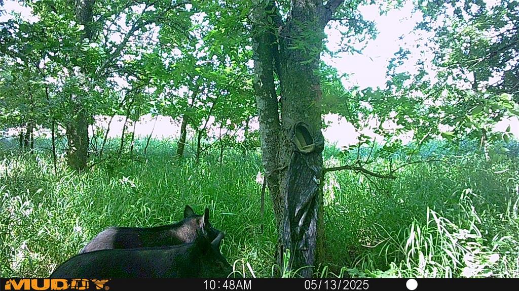 Mill Creek Landing - Land